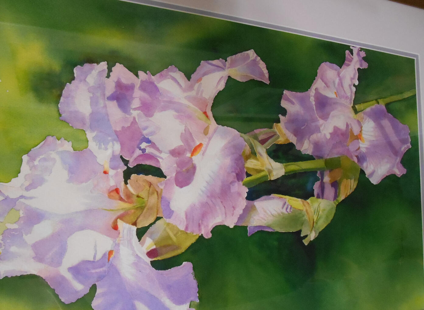 Untitled #1 Watercolor Joan Donahue